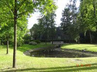DSC06485.JPG