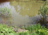 IMG_20180617_150423.jpg