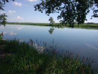 IMG_20180624_154643.jpg