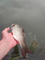 IMG_20180627_164155.jpg