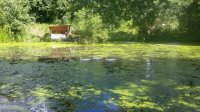 20180706_110446.jpg