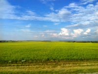 IMG-20180708-WA0013.jpg