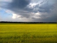 IMG-20180708-WA0014.jpg