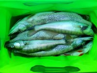 IMG-20180708-WA0006.jpg