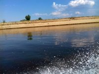 IMG-20180708-WA0017.jpg