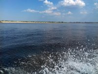 IMG-20180708-WA0020.jpg