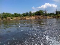 IMG-20180708-WA0030.jpg