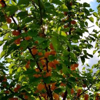 IMG_20180710_205837_427.jpg