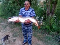 IMG-20180713-WA0007.jpg