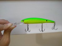 IMG_20180713_201511.jpg