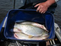 IMG_1527.JPG