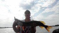 IMG_20180727_080331.jpg