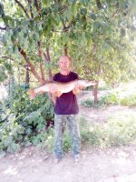 IMG-20180807-WA0008.jpg