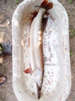 IMG-20180807-WA0007.jpg