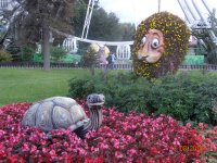 DSC06751.JPG