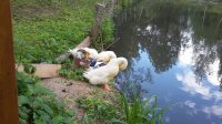 20180822_145052.jpg