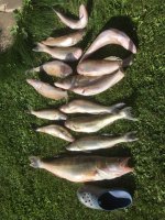 IMG_3297.JPG