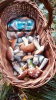 IMG-20180922-WA0022.jpg