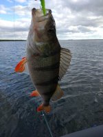 IMG_20180929_154847.jpeg