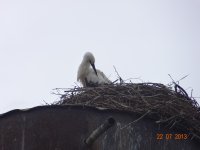 DSC00414.JPG