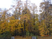 DSC07020.JPG