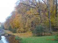 DSC07017.JPG