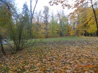 DSC07006.JPG