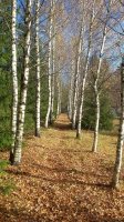 20181023_141443.jpg