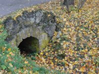 DSC06984.JPG