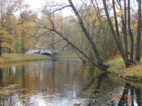 DSC06946.JPG