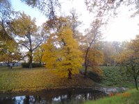 DSC06943.JPG