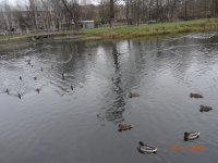 DSC07110.JPG