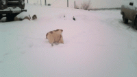 20190224_082524.gif