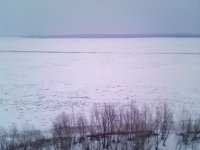 IMG_20190226_180720.jpg