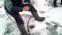 20190227_095631.gif