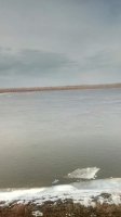 IMG-20190313-WA0004.jpg
