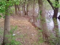 IMG_20190504_181948.jpg
