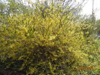 DSC08060.JPG