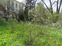 DSC08055.JPG