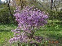 DSC08054.JPG