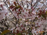 DSC08042.JPG