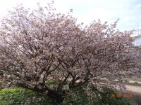 DSC08040.JPG