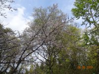 DSC08028.JPG
