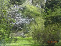 DSC08014.JPG