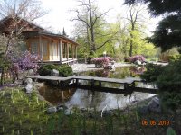 DSC07982.JPG