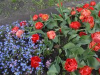 DSC07968.JPG