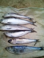 IMG_20190513_192758.jpg