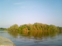 IMG_20190514_065126.jpg