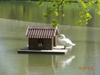 DSC08111.JPG
