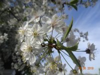 DSC08162.JPG